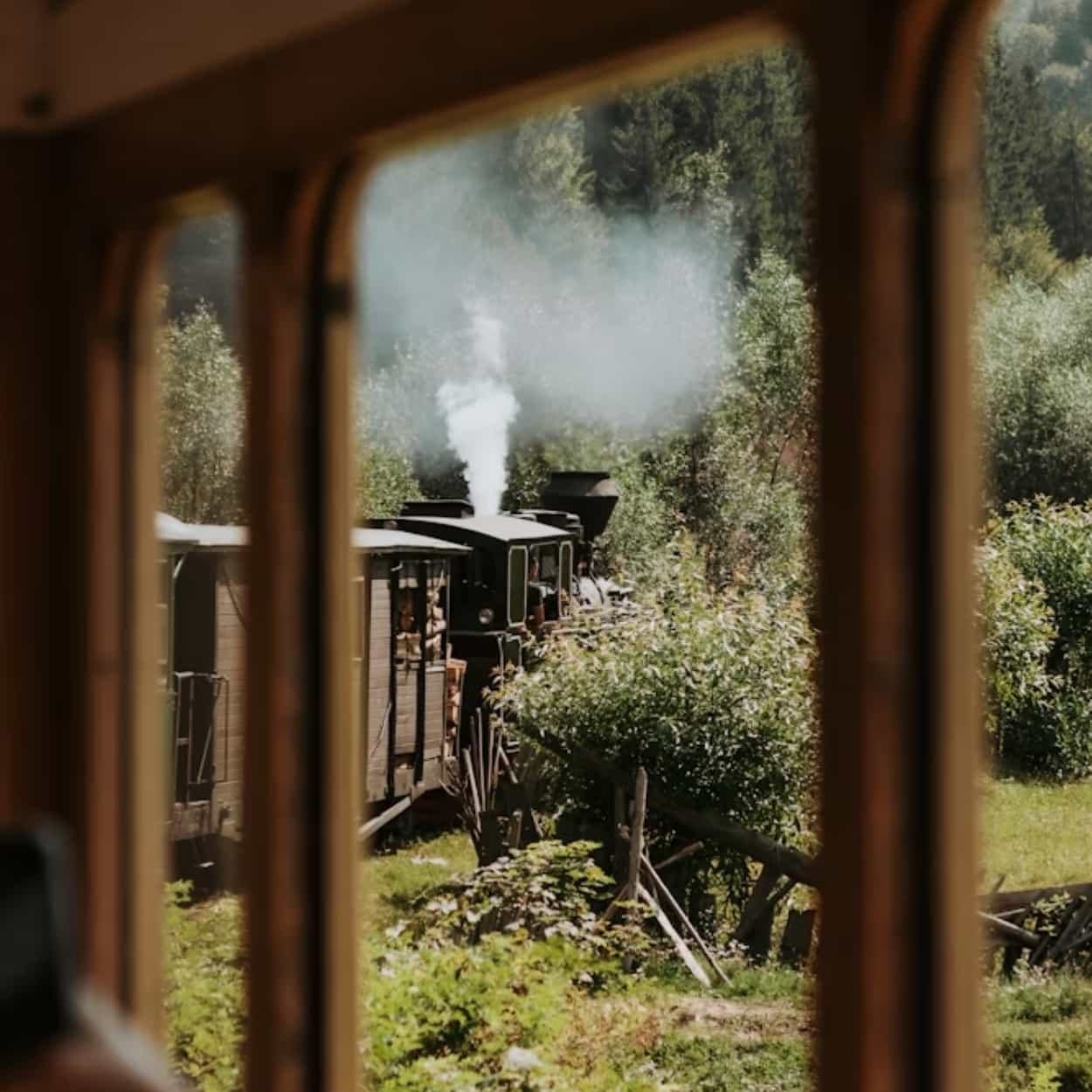 train